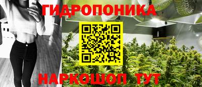 прущие грибы Пушкино